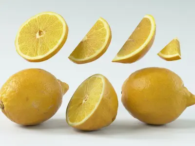  Realistic Citrus Fruits Collection 