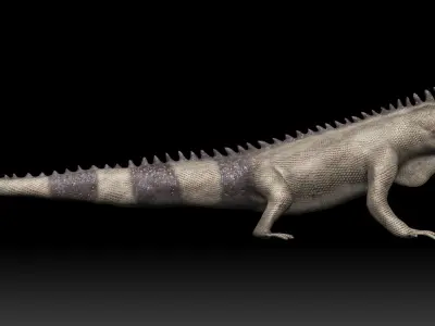 Iguana Lizard Low-poly 3D model