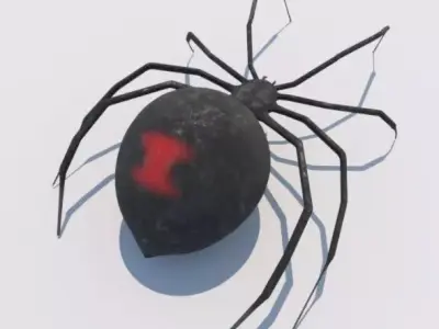 Spider Black Widow 3D model buy