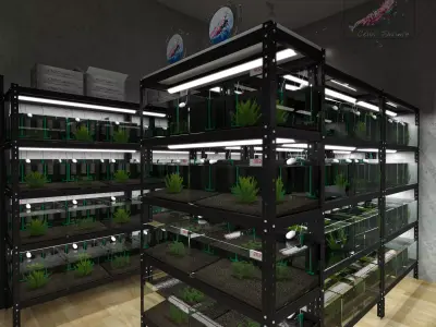 Shrimp room Aquarium 3D model