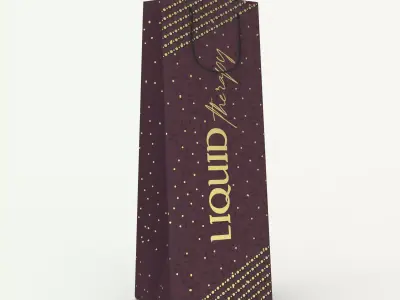Everyday Wine Bag Mockups 3D model
