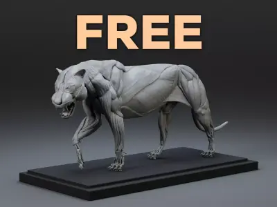 Tiger Ecorche Pose Free 3D model