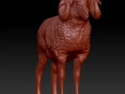Big Horn Sheep 3D model