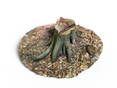 Forest Tree Stump 4K -Part 8-  Free low-poly 3D model