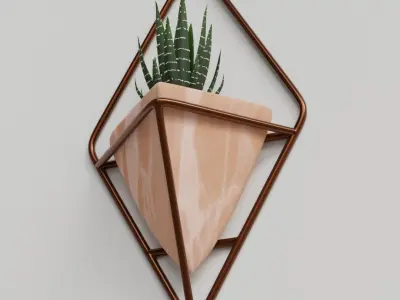 Haworthia in a wall pot Free 3D model