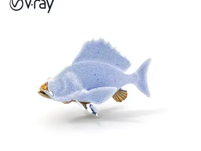 Realistic Fish D Model Pack with Detailed Textures Low-poly 3D model
