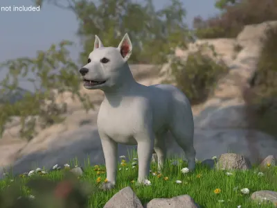  West Highland White Terrier Rigged 