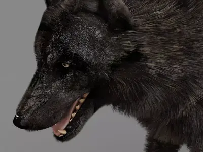 WOLF rigged character 3D mode 3D model