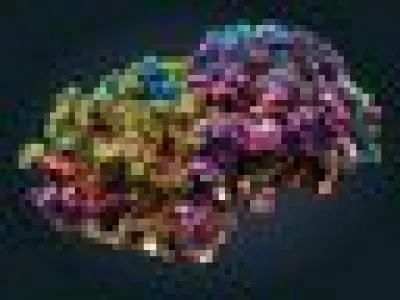 Coral reef ecosystem Animated 3D model