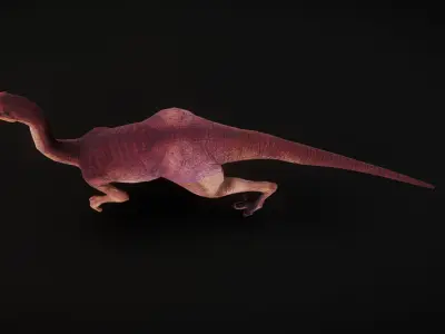 Camel Dragon Bone Binding Animation Low-poly 3D model