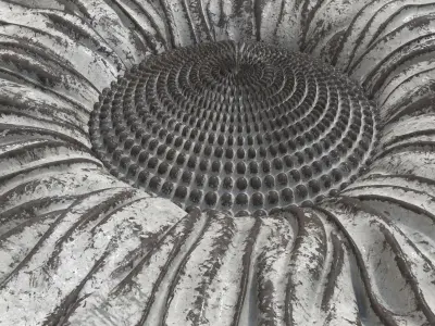 Sunflower Bird Bath Fountain 3D model