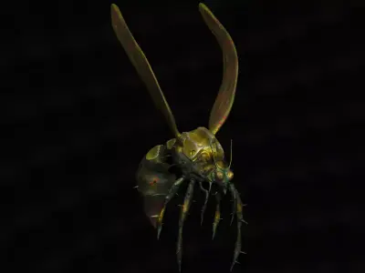 fly insect 3D model purchase