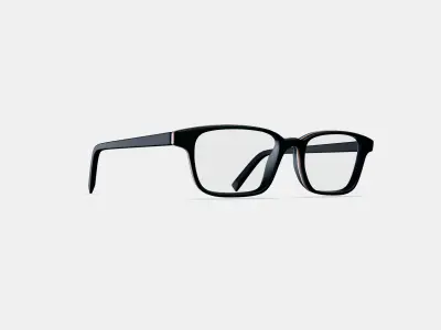 Crane Low Bridge Fit Eyeglasses in Black Matte Eclipse 3D model
