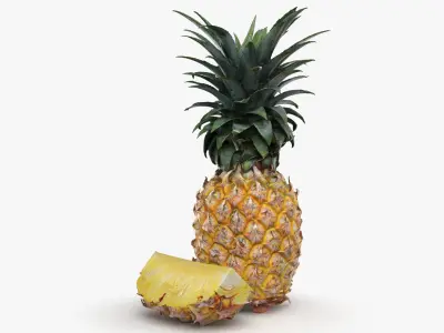 Pineapple Fruit 3D model