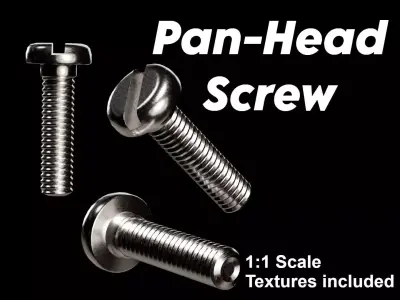 Slotted Screw Free 3D model