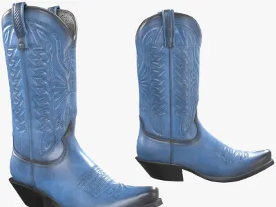 Blue Western Boots 3D model