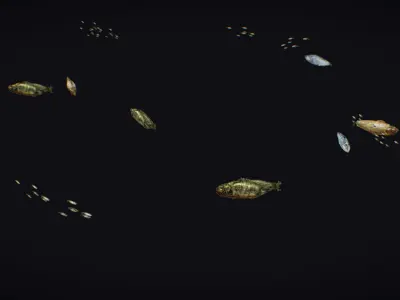 Fish Flock Fresh Water Fishes Animated Floating River Trout Low-poly 3D model