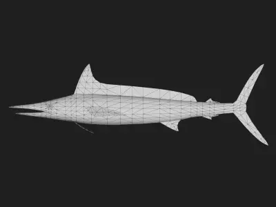 Spearfish Low-poly 3D model