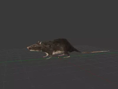 Simple Rats bas poly Free low-poly 3D model