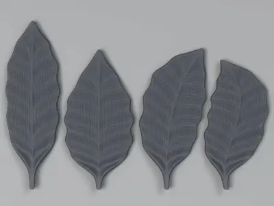 Leaf 02 Free 3D model
