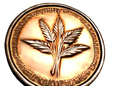Detailed Bronze Leaf Emblem Coin Low-poly 3D model