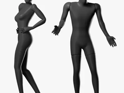 Rigged Male and Female Mannequin 3D model