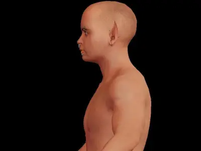Elves couple-3 Low-poly 3D model