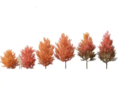Temperate Flowering Shrubs Trees Pack 54 3D model