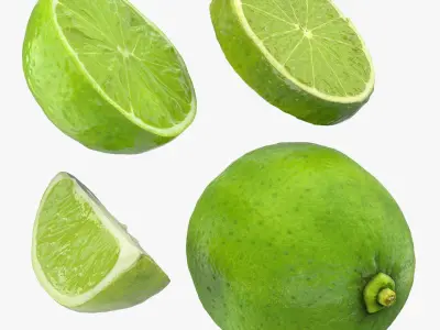 Lime Collection 3D model