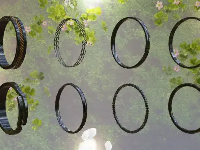 Basic Ring Pack  3D model