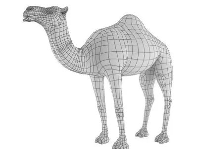 Camel Base Mesh Low-poly 3D model