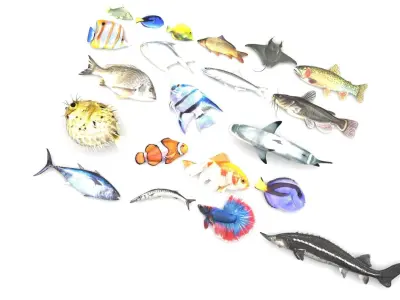 Fishes Set 3D model buy