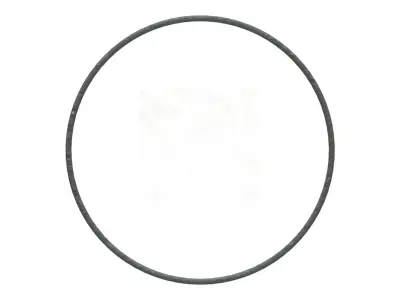 O Ring Vedabras 12904 3D model