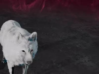 Wolf white 3D model