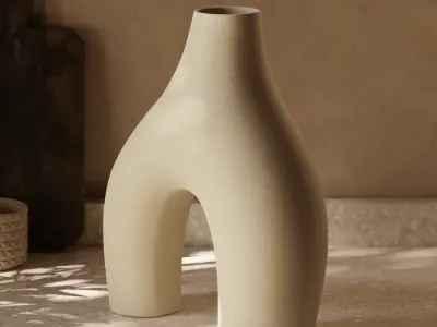  Abstract Organic Ceramic Vase Model 