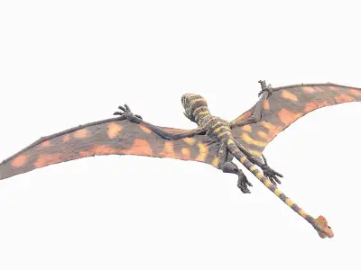  Peteinosaurus Static 