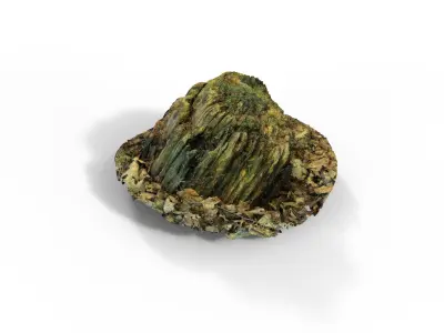 Forest Tree Stump 4K -Part 4- Free low-poly 3D model
