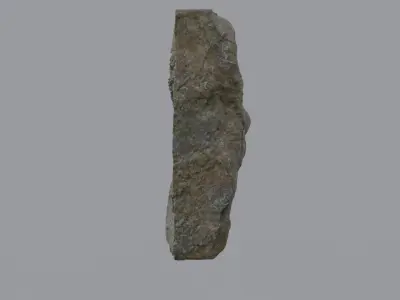 Ancient Plant Fossil 3D model
