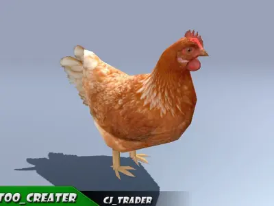 Low-Poly Chicken Collection Pack Rigged-Animated 3D Model Low-poly 3D model
