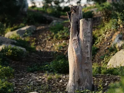  Tall Bare Deciduous Stump Model 