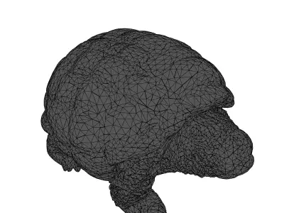 Realistic 3D Tortoise Model Low-poly 3D model purchase