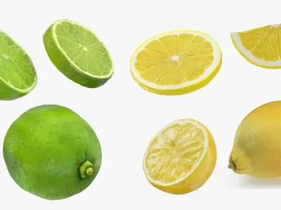 Lemon and Lime Collection 3D model