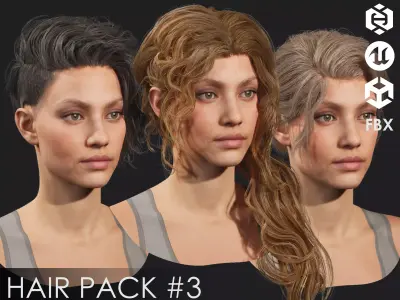 Realistic female hairstyles - pack 3 Low-poly 3D model