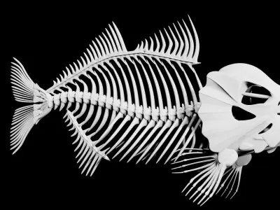 Fish skeleton Low-poly 3D model