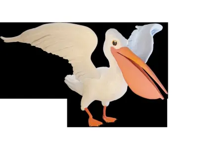 Pelican 3D model purchase
