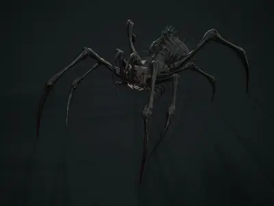 Spider 5 with long legs Low-poly 3D model