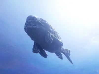 Fishhead fish skull 3D model