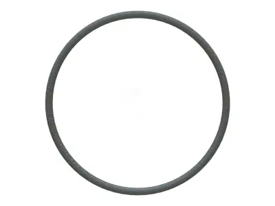 O Ring Vedabras 12198 3D model