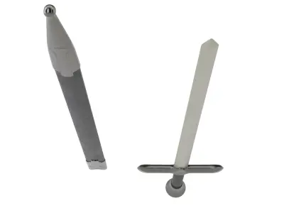 Sword With Sheath 3D model