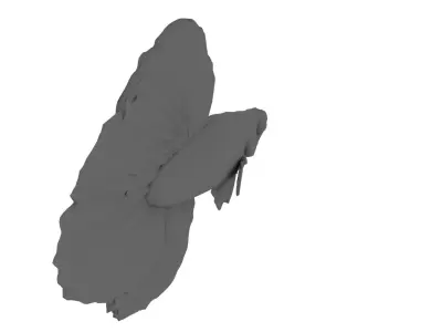 Japanese Fighting Fish 3D model